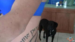 Татуіраваная красуня Ітс Клео любіць працягваць руку дапамогі, калі вялікаму сябру трэба зняць стрэс, нават больш, калі яна можа атрымаць цеплую сперму на свае сіські! Так міла! Поўнае відэа і ўсе яго Клио @ ItsCleoLive.com !